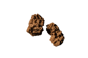 Κουάκερ Μελιού